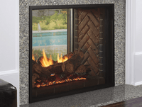 Heat & Glo Fortress 36 Indoor/Outdoor See-Through Gas Fireplace | Model ODFORTG-36